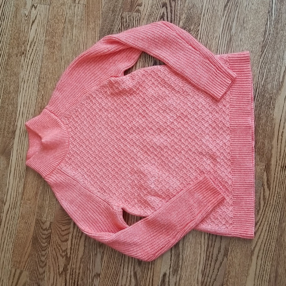 (M) Talbots Wool Blend Cable Knit Turtle Neck Cozy Sweater Colorful Classic